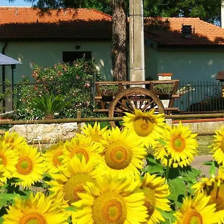 La Valle Dell'albegna Alloggio per agriturismo