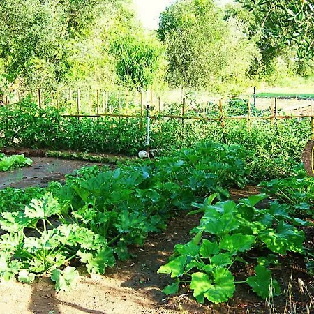 La Valle Dell'albegna 오르베텔로